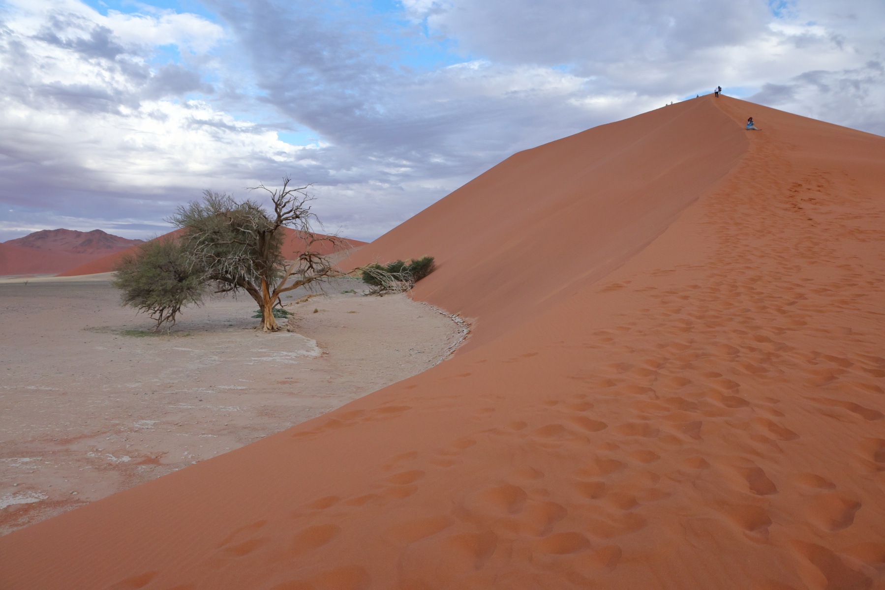 Sossusvlei - Dune 45