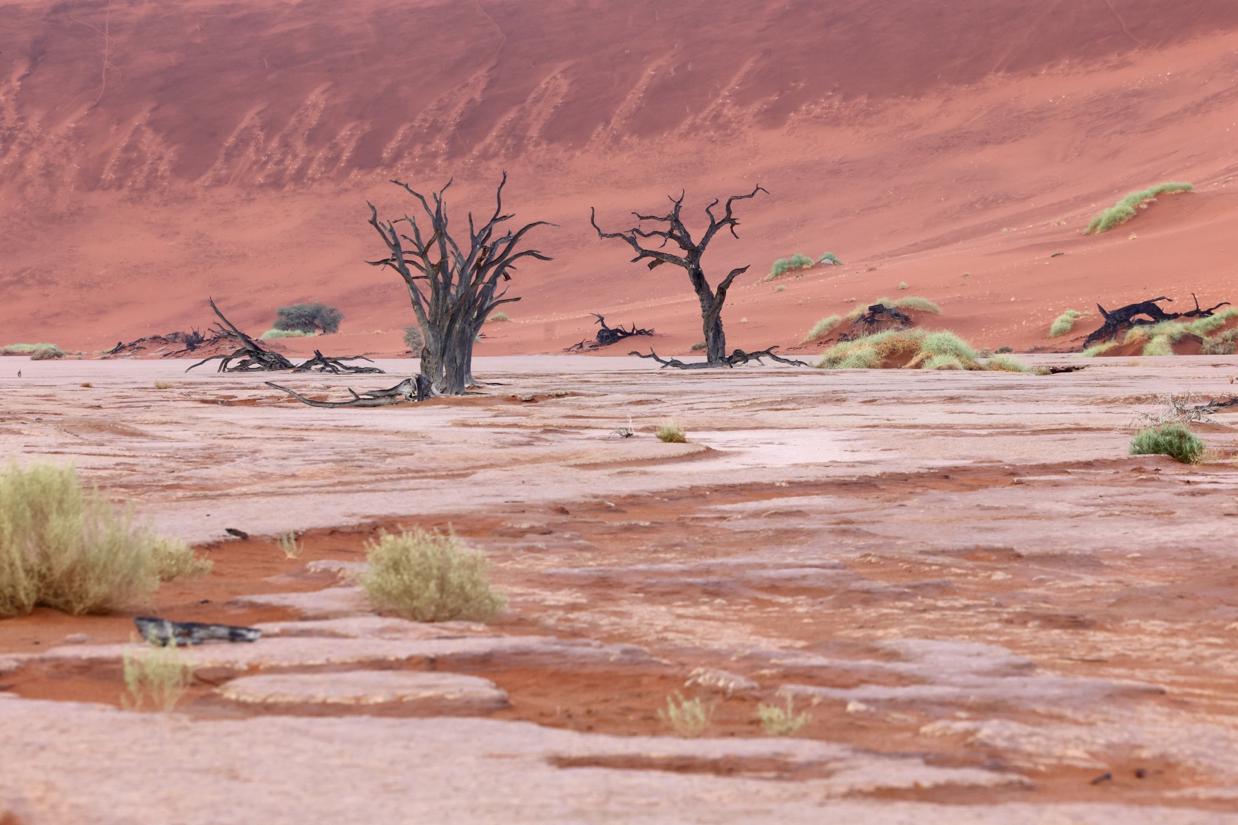Deadvlei