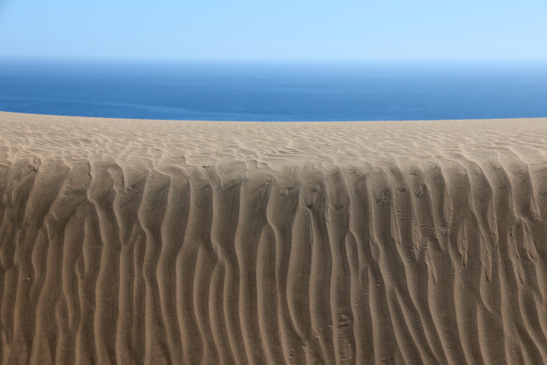 Namib Desert Coast - Sand dunes