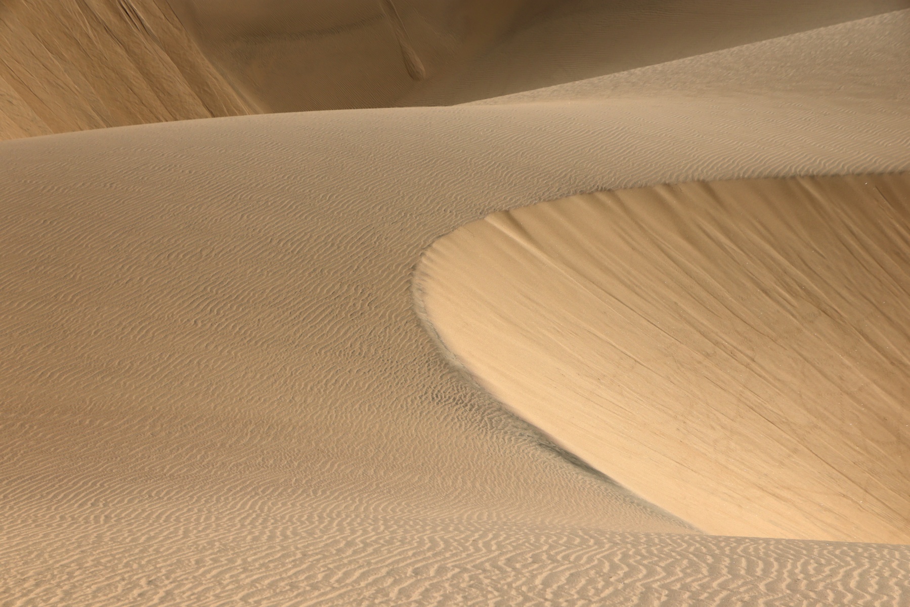 Namib Desert Coast - Sand dunes