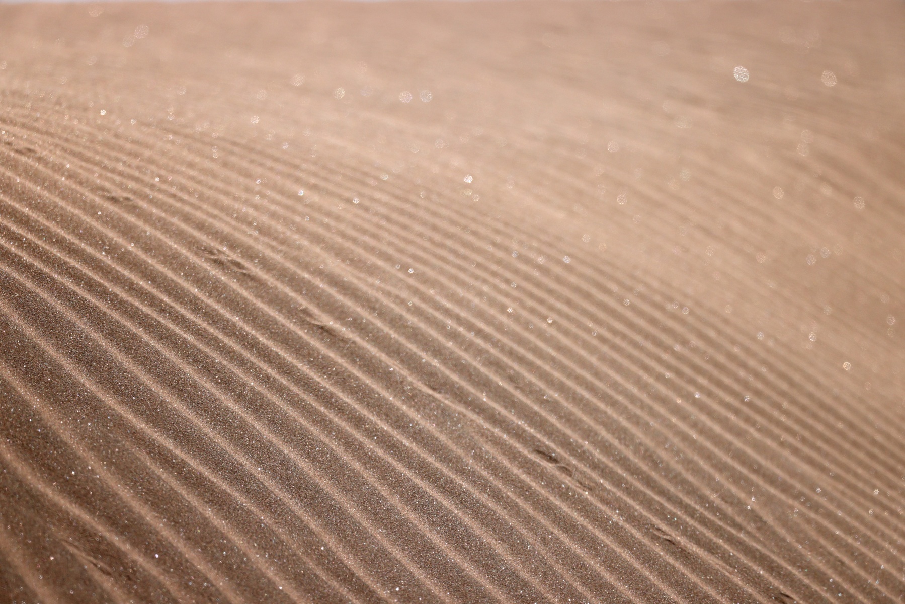 Namib Desert Coast - Sand dunes