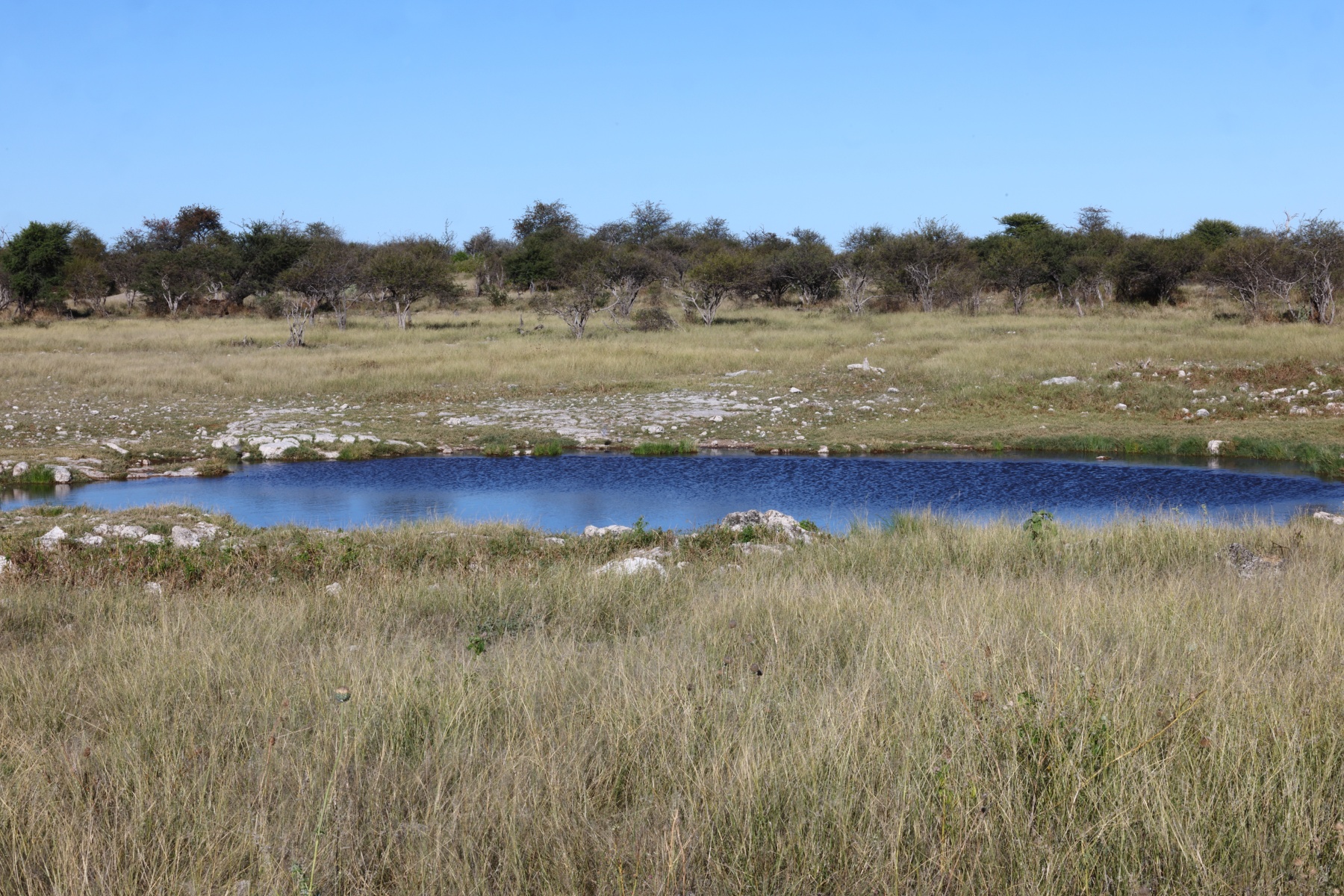 Etosha - Waterhole