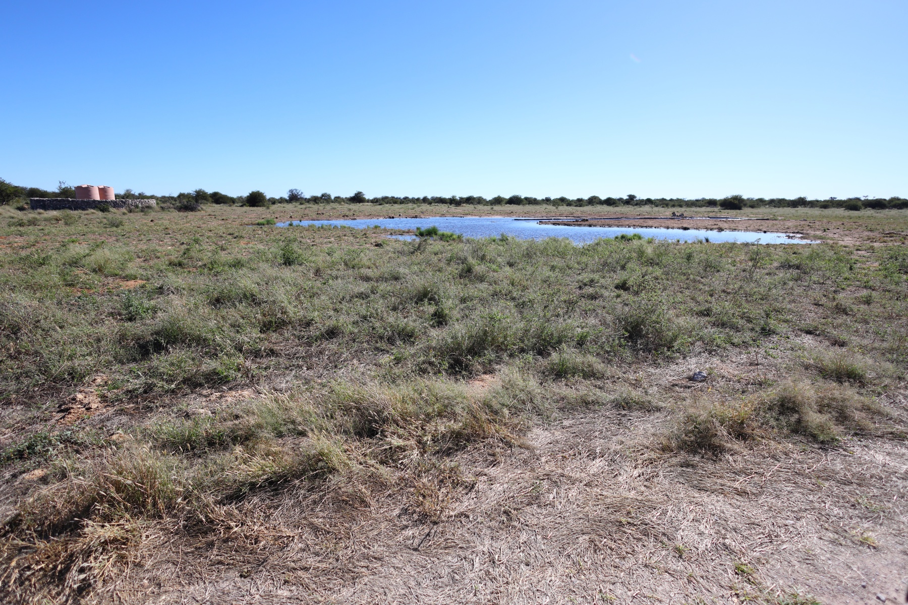 Etosha - Tsumcor waterhole