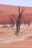 Deadvlei