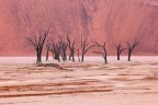 Deadvlei