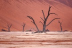 Deadvlei