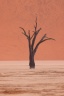 Deadvlei
