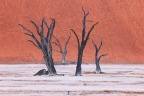 Deadvlei