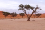 Deadvlei