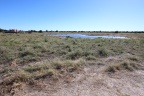 Etosha - Tsumcor waterhole