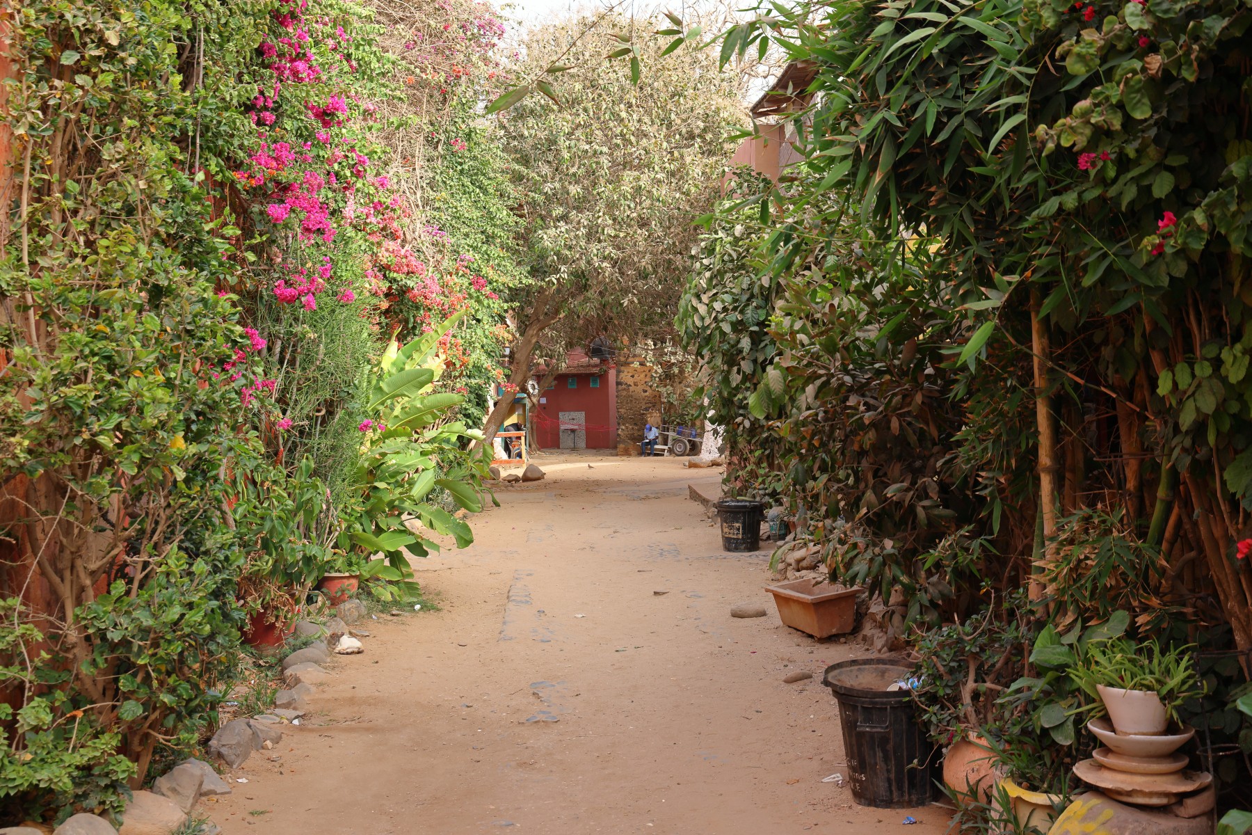 Gorée - Street