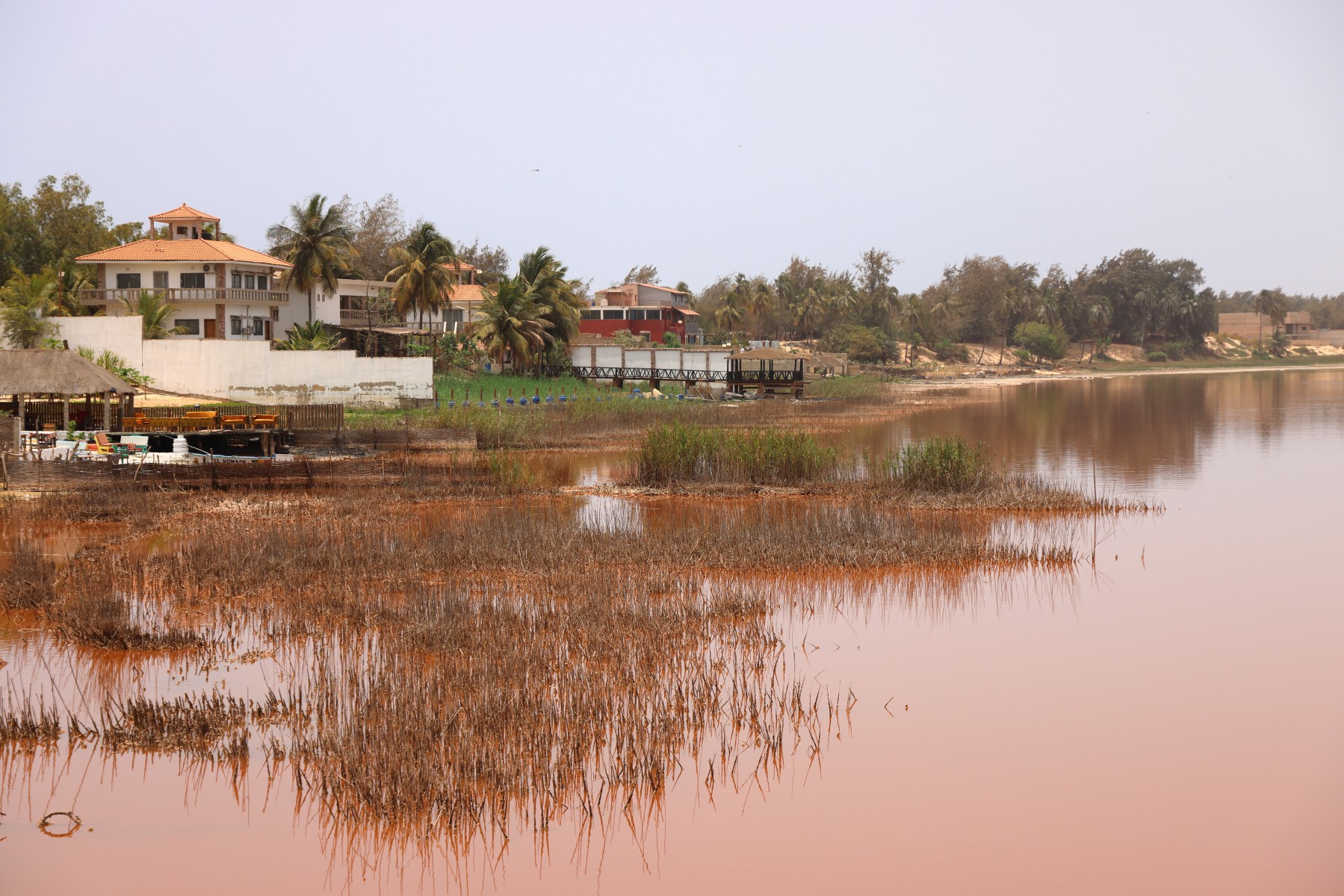 Lac Rose - Shore