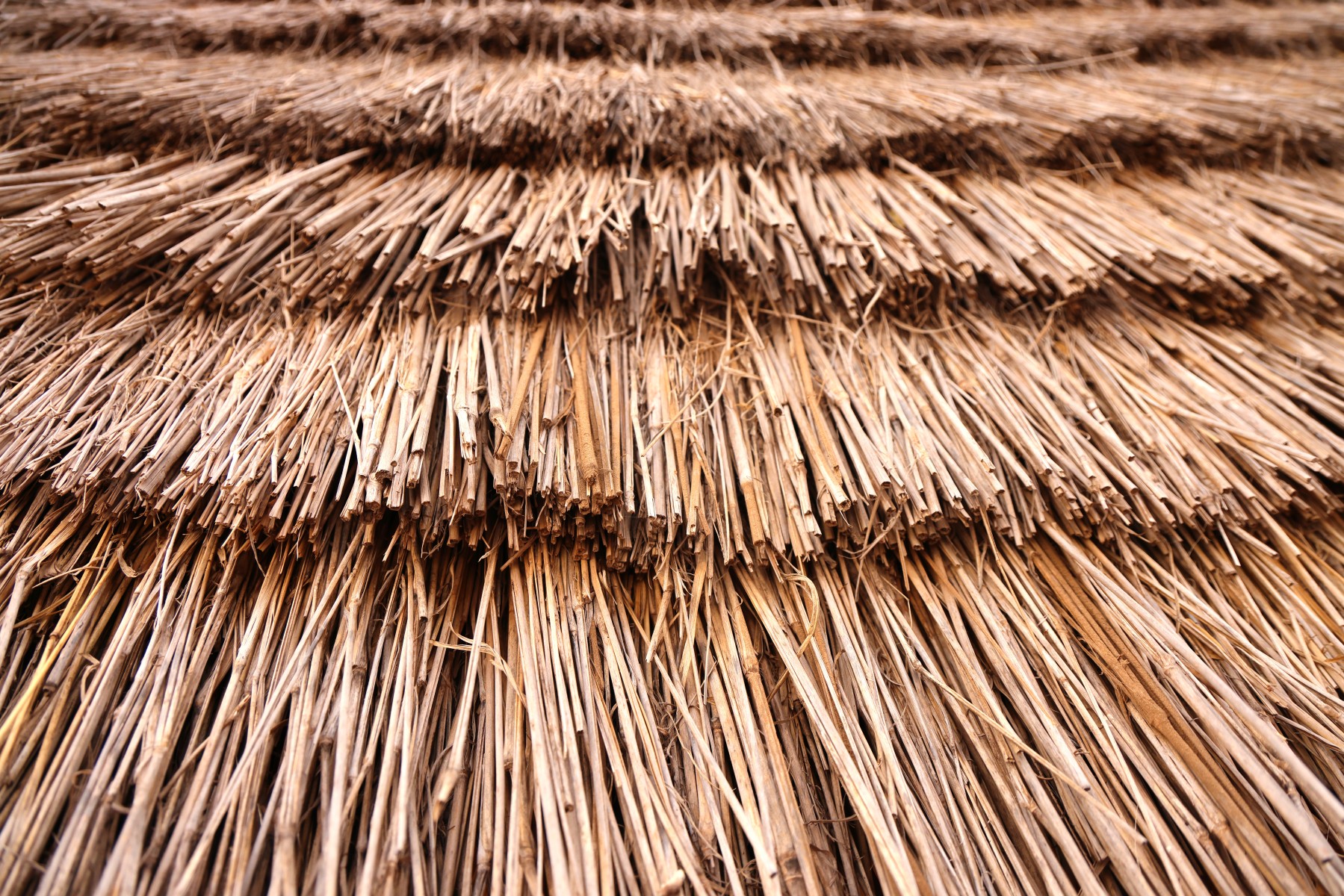 Ecolodge de Koba - Village - House roof
