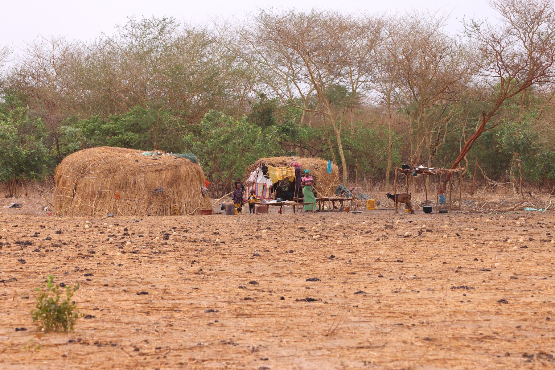 Nomadic camp