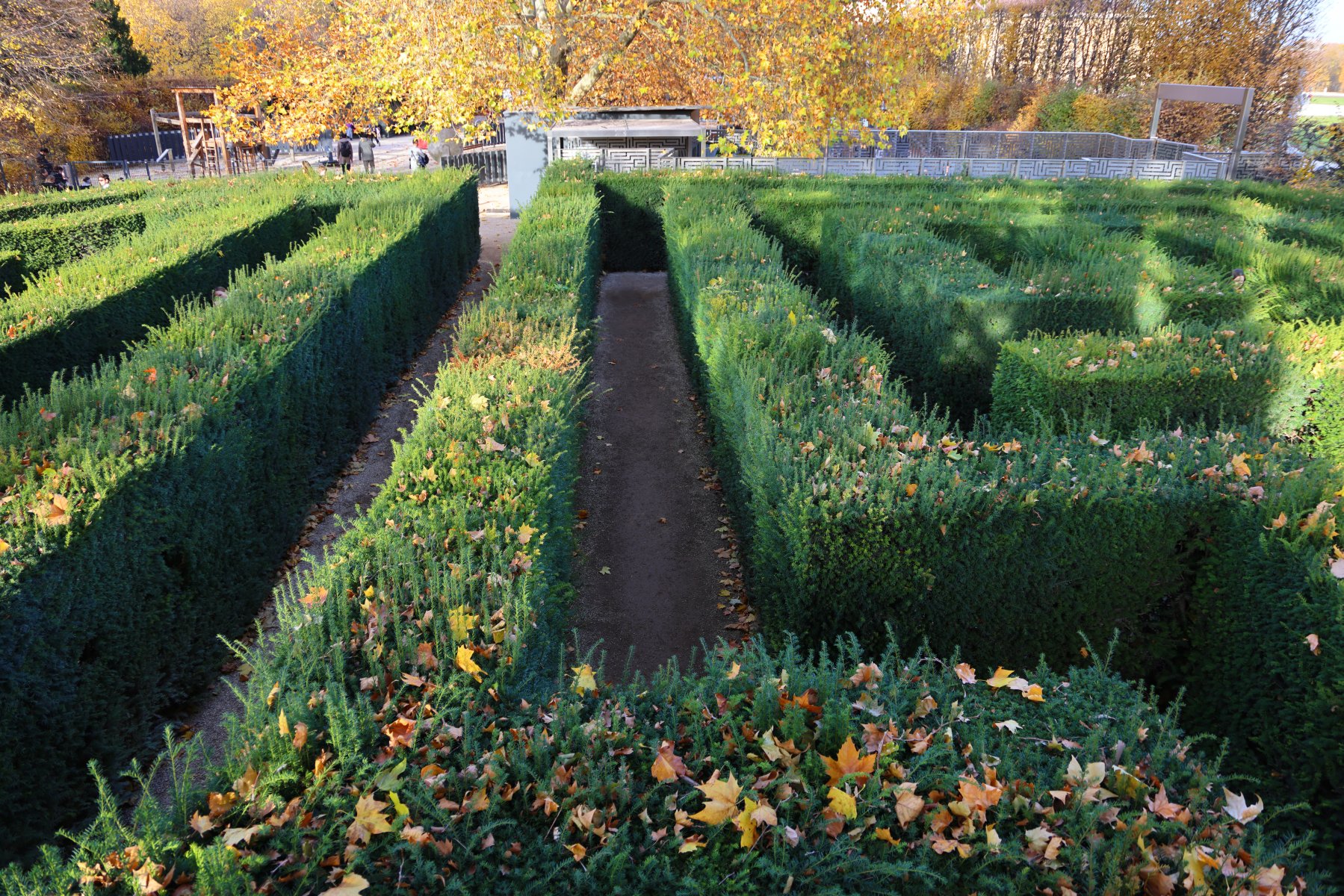 Schönbrunn - Maze