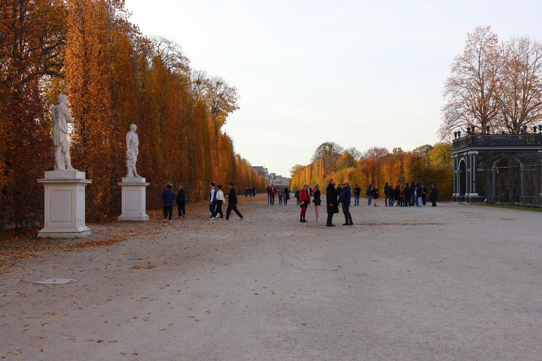 Schönbrunn - Lichte Allee