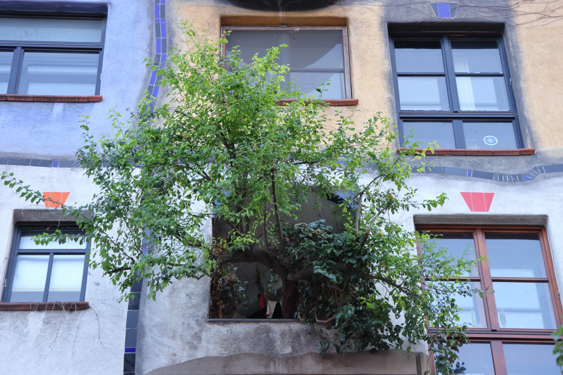 Hundertwasserhaus - Tree