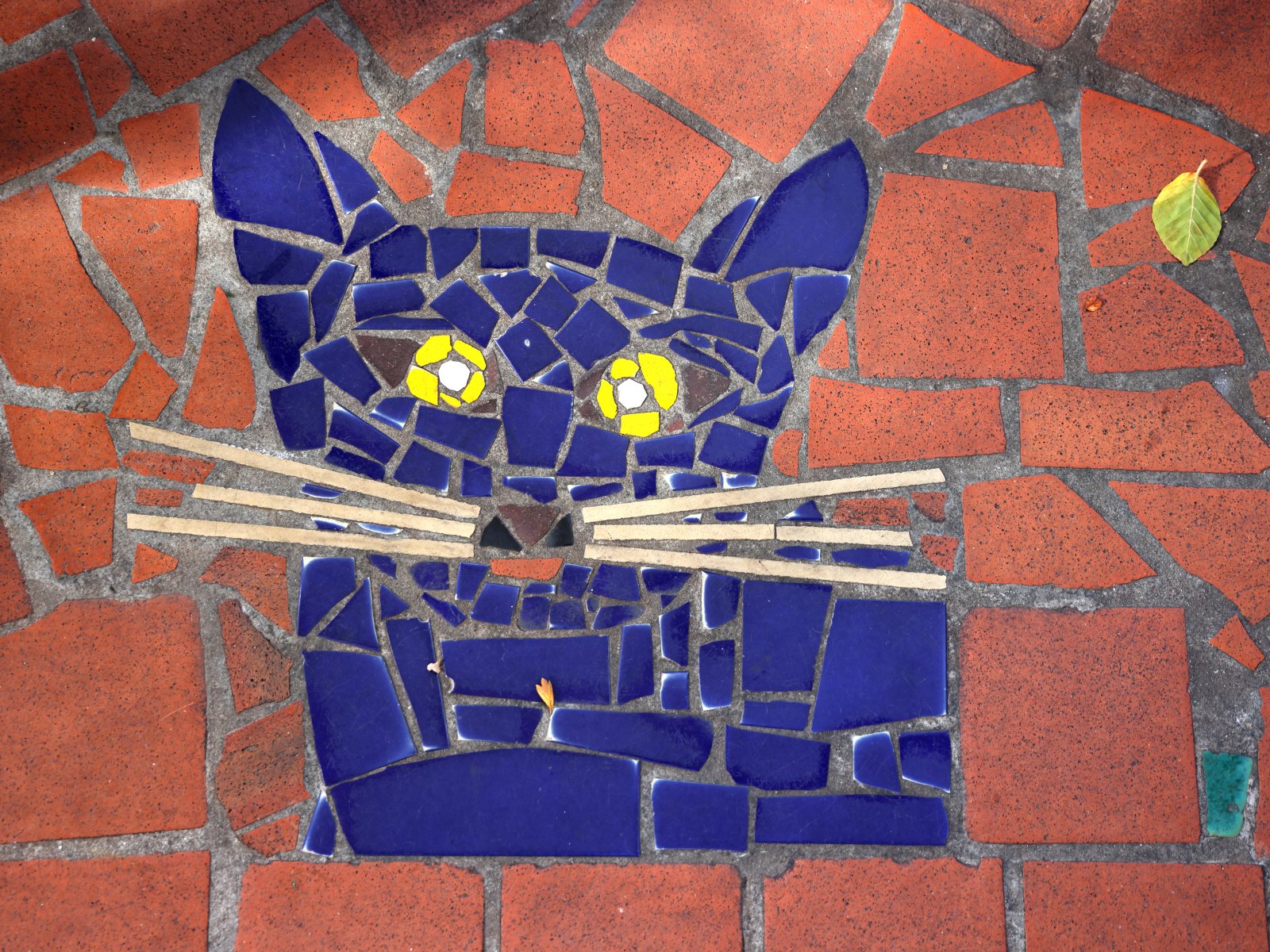 Hundertwasserhaus - Floor detail - Cat