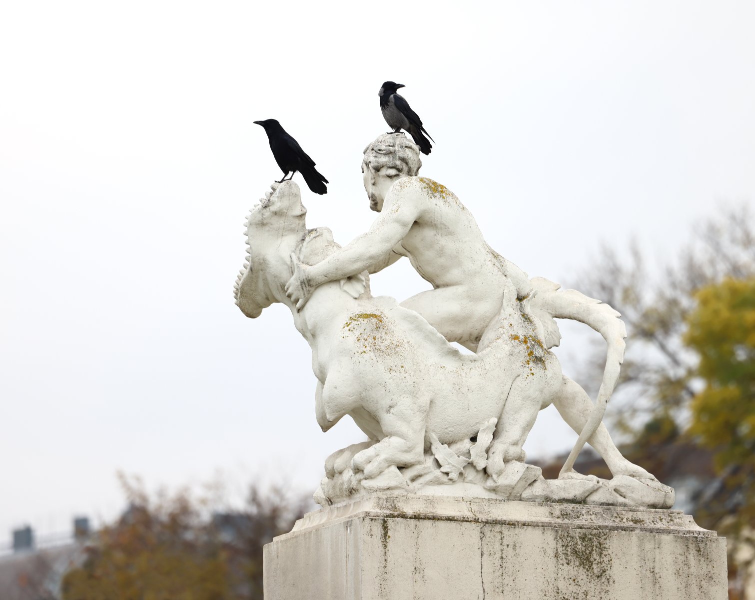 Belvedere - Statue with a crow and a raven